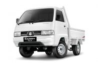 Carry Pick Up